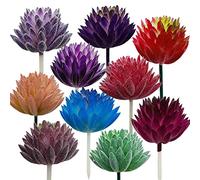 Cayway Artificielles Plantes Succulentes 10 PCS Faux Fleur Succulentes Artificielles Plantes Réalistes pour La Maison Intérieur Fée Jardin Hôtel Bureau Bricolage Décorations