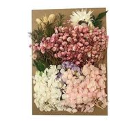 Cayway Fleurs Pressées Séchées Fleurs Séchées en Résine, Bricolage Fleurs Séchées Naturelles Séchées pour La Fabrication de Décoration