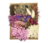 Cayway Fleurs Séchées en Résine, Bricolage Fleurs Séchées, Violet Rose Blanc Fleurs Séchées Naturelles Séchées pour La Fabrication de Décoration Coquilles Bricolage Résine