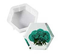 Cayway Moule pour Resine Epoxy Hexagone Moules en Silicone Moulle Resine Epoxy pour La Préservation Des Fleurs, Décorations pour La Maison