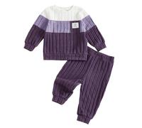 Caziffer Ensemble Bébé Garçon 2 Pièces en Patchwork Tenue Bébé Sweat à Couleur Contrastée + Pantalon à Taille Élastique Vêtement Naissance pour Petit Garçon 3 Mois-3 Ans (Violet, 6-12 Mois)