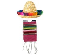 Cazqgoy 2 Pack Mexican Sombrero Cap and Ponchos for Bottles, Colorful Beer Poncho Cover, Small Sombrero Hat, Mini Poncho for Bottles (Rosenrot)