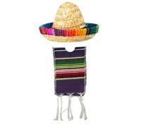 Cazqgoy 2 Pack Mexican Sombrero Cap and Ponchos for Bottles, Colorful Beer Poncho Cover, Small Sombrero Hat, Mini Poncho for Bottles (Lila)