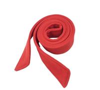 Cazqgoy Ceinture de manteau en laine pour femme, ceinture de manteau à la mode polyvalente pour manteau, long assez double face, ceinture trench manteau, ceinture de taille pour veste commune, rouge