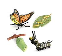 CAZSTYK Cercle de de Simulation en Pleine Croissance, Butterfly | Apprentissage des connaissances biologiques avec les compétences nécessaires en sciences naturelles pour la