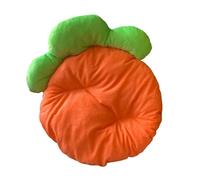 CAZSTYK Coussin de sommeil pour chiot et chaton - Cadeau d'anniversaire - Housse en fourrure douce et chaude - Lit créatif pour animal domestique avec housse en fourrure douce