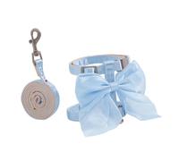 CAZSTYK Cravate scintillante pour chat - Mince - Guide réfléchissant - Clip simple - Plan pour une utilisation à l'intérieur - Libération rapide - Moulé - Utilisation de marche