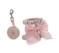 CAZSTYK Cravate scintillante pour chat - Mince - Guide réfléchissant - Clip simple - Plan pour une utilisation à l'intérieur - Libération rapide - Moulé - Utilisation de marche