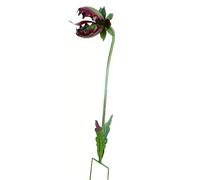 CAZSTYK Décoration de jardin en fer finition rouillée pour jardin, cour, piquet de fleur carnivore rouillée décorative en métal