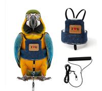 CAZSTYK Ensemble harnais et laisse pour perroquets en toute sécurité en plein air, aventure, confortable, facile à porter, costume de vol pour animal domestique, oiseau, harnais gilet