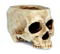 CAZSTYK Le pot de fleurs en résine fait main en forme de tête de mort apporte une sensation énigmatique à votre herbage intérieur ou bureau Vase en résine en forme de crâne