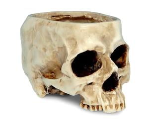 CAZSTYK Le pot de fleurs en résine fait main en forme de tête de mort apporte une sensation énigmatique à votre herbage intérieur ou bureau Vase en résine en forme de crâne