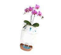 CAZSTYK Lot de 2 pots de fleurs transparents avec design intérieur extérieur pour un drainage et un drainage optimaux