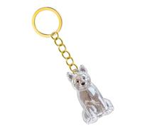 CAZSTYK Porte-clés avec boîte de rangement transparente pour perte d'animaux de compagnie - Pour les propriétaires de deuil, les propriétaires de chiens - Cadeau de souvenir - Récipient à cendres