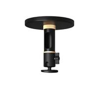 CAZSTYK Support de plafond réglable pour projecteurs avec poteaux épais et mécanisme de fixation dissimulé