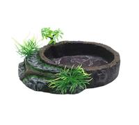 CAZSTYK Terrariums d'alimentation pour reptiles, mangeoires en résines, gamelles pour amphibiens pour boire et manger en toute sécurité