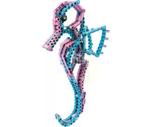 CBionic Kit de construction flexible 2 en 1 hippocampe / poisson