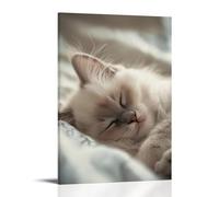 CBWVUWHJW Poster d'animaux de compagnie Dreams, Sleeping Kitty Serenity Décoration murale tendance - Poster d'art à suspendre et peinture murale 60 x 90 cm