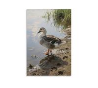 CBWVUWHJW Poster mural à suspendre avec inscription « A Domestic Duck Preening on The Shore, Webbed Feet on Wet Mud » - 20 x 30 cm