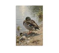 CBWVUWHJW Poster mural à suspendre avec inscription « A Duck Resting on The Shore, Head Tucked Under its Wing » - 20 x 30 cm