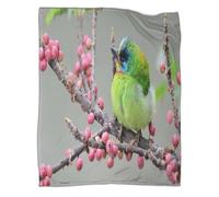 CCIZFMQ Cinq Oiseaux colorés Couverture Impression 3D Branche des Fruits Rouges Literie Et Douillette en Microfibre Peluche Cadeau Canapé pour Garçons Et Filles Voyage 60x80inch(150x200cm)