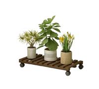 CCKUYT Support pour plantes en bois avec roulettes - Étagère à roulettes robuste pour pot de fleurs - Plateau de fleurs amovible - Pour extérieur/intérieur