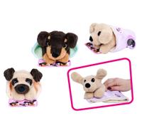 C hiens Mignons - 3 ASST