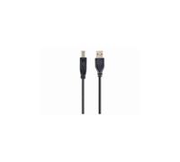 Gembird Câble USB 2 am-BM 1 m/Ccp-USB2-Ambm-1 m
