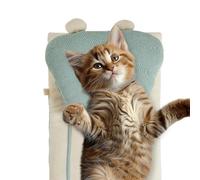ccuzs Adorable Sleek Cat Bed, Winter Pet Bed, Multifunctional Pet Sleeping Mat, Indoor Pet Resting Mat 66 x 42 cm pour Pets Cats, Indoor, Home, Present, Living Room, Bed Room, Blue, Pink Color