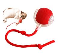 ccuzs Cat Ball Toy, Automatic Electric Pet Toys Ball for Indoor Play, Interactive Cats Puzzle Balls for Small and Large Cats, Fun Entertainment Exercise Activity, 2,76 x 2,76 Pouces