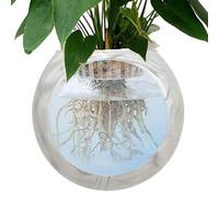 ccuzs Clear Globe Flower Vase, Flower Bowl Holder, Terrarium Air Plant Holder, Bathroom Flower Vase, Home Living Room Vase, ideal for adding a touch of nature to your bathroom or home living room room