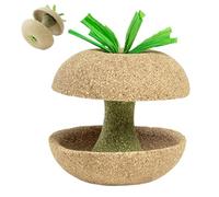 ccuzs Natural Hamster Chew Toys, Fruit Shaped Treats for Small Pets, Safe Bunny Toys for Teeth, Chinchilla, Gerbil, Squirrel, Small Animal Chew Toys for Care and Fun Play