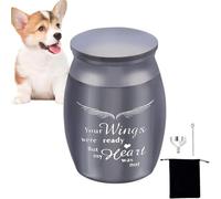 ccuzs Urnes souvenir animal de compagnie - petites urnes souvenir pour cendres d'animaux domestiques, urnes cinéraires pour cendres cendres commémoratives petit en acier inoxydable pour cendres
