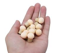 CCYLEZ 2 Têtes D'Éponge Remplacement pour Pinceau Pointes Ongles 10pcs