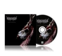 CD de Mental Cruelty - Echoes of a forlorn Land - pour Indifférent - Standard Standard