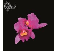 Orchid – Universal Music Group