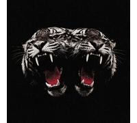 CD de Royal Blood - Dead Company - pour Indifférent - Standard Standard