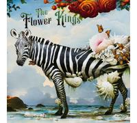 CD de The Flower Kings - HOPE - pour Indifférent - Standard Standard