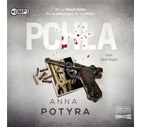 CD MP3 Puces
