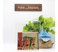 CD SEIJI OZAWA -STRAVINSKY : LE RITE DU PRINTEMPS. PETROUCHKA & FIREWORKS Neuf