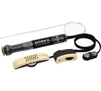 <![CDATA[L.R. Baggs Anthem SL Classical Micro guitare acoustique]]>
