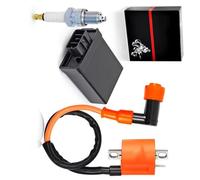 CDI Boîtier d'allumage Compatible Avec Yamaha Pour ATV 2006 Pour BLASTER - YFS200V Motos Boîte CDI Et Bobine D'allumage OEM : 5VM-85540-00-00