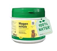 cdVet Gastrique Protection 200g - Poudre pour favoriser la santé de l'estomac et des intestins pour Chiens et Chats