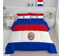 CDXNORA Couette Chaude Gonflante 140x200 cm, Drapeau du Paraguay Imprimée Douce Réversible Légère Chaude Couettes, 4 Saisons Lavable Drapeau National Couette Edredon sans Housse