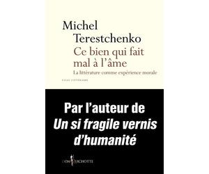 Ce bien qui fait mal à l'âme La littérature comme expérience morale - Michel Terestchenko - Don quichotte - broché - Essai