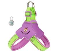 Ce Harnais Anti-Traction en Forme de Y est spécialement conçu pour Les Boston Terrier. Il est équipé d'une lumière LED, de Bandes réfléchissantes et d'un Gilet rembourré, Confortable et re Fuchsia XL