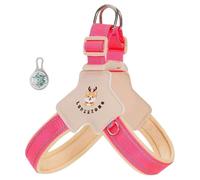 Ce Harnais Anti-Traction en Forme de Y est spécialement conçu pour Les Lagotto Romagnolo Il est équipé d'une lumière LED Pink XS