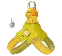 Ce Harnais Anti-Traction en Forme de Y est spécialement conçu pour Les Miniature Pinscher Il est équipé d'une lumière LED, de Bandes réfléchissantes et d'un Gilet rembourré, Confortable et re Green S