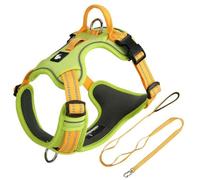 Ce Harnais et sa Laisse sont spécialement conçus pour Les Shiba Inu. Il Comprend Un Harnais Ajustable et Anti-Traction, Ainsi qu'une Laisse de 1,5 mètre. Green XS