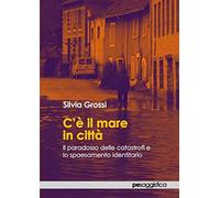 C'è Il Mare In Città. Il Paradosso Delle Catastrofi E Lo Spaesamento Identitario